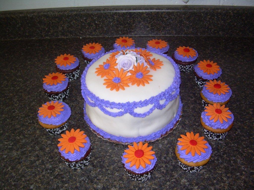 BIRTHDAY CAKE AND MATCHING CUPCAKES-